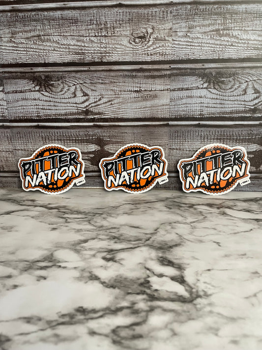 4"x3" Pitter Nation Stickers